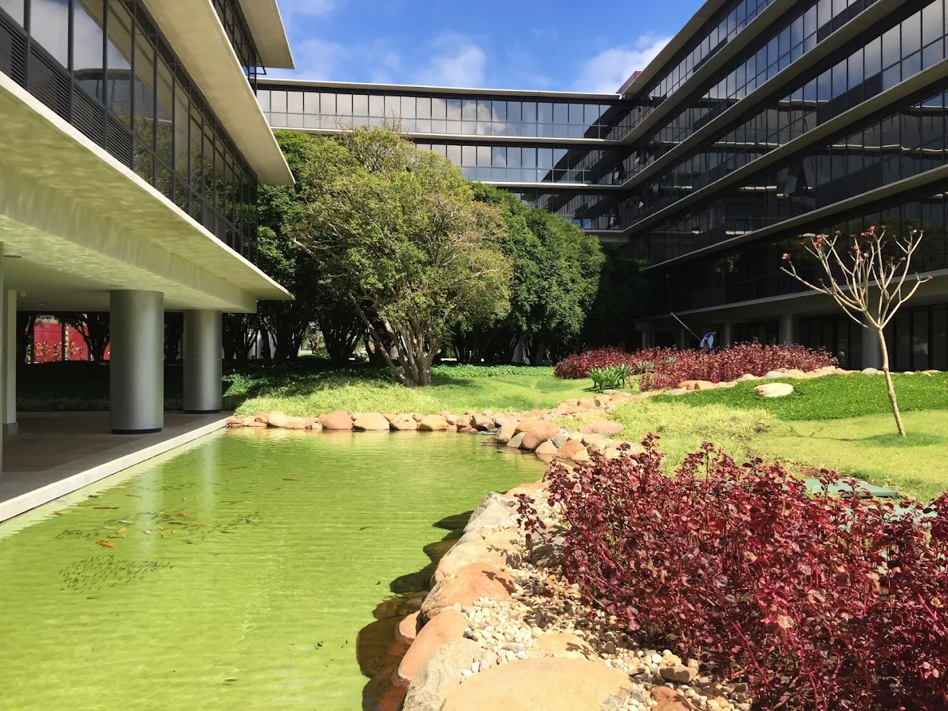 Área externa arborizada do Georgina Business Park
